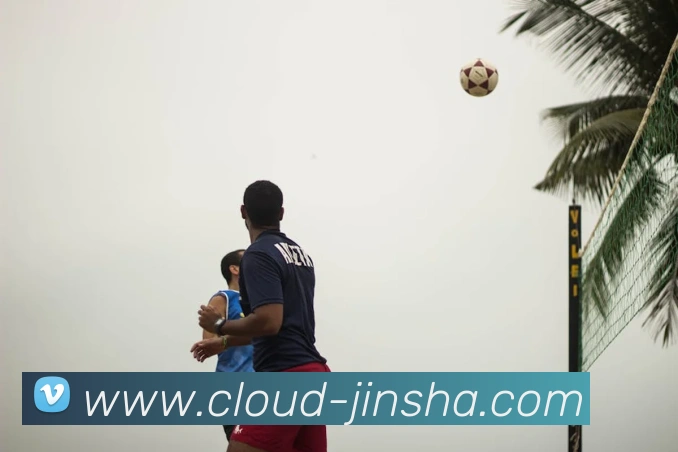 金沙国际平台生态图