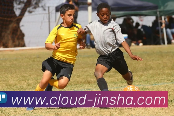 数据防护可视化